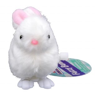 FARM FRESH  FUZZY WIND UP