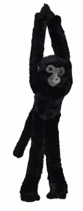 Hanging Black Spider Monkey