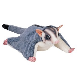 Artist Collection Sugar Glider