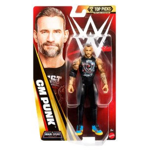 WWE  CM PUNK