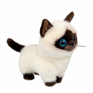 KALIA CAT TY