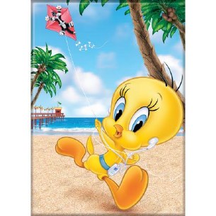 LOONEY TUNES TWEETY BEACH MAG