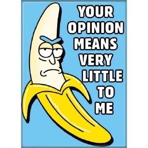 RICK AND MORTY OPINION MAGNET