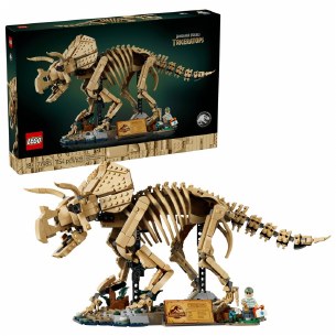 Dinosaur Fossils: Triceratops