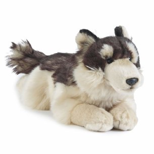 WOLF LARGE