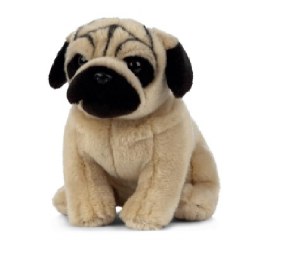 PUG