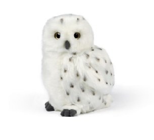 SNOWY OWL