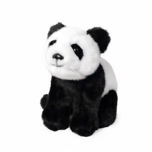 PANDA CUB