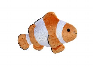 CORAL CLOWN FISH 10