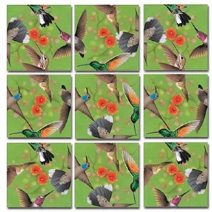 HUMMINGBIRDS SCRAMBLE SQUARES