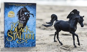 BLACK STALLION HORSE & BOOK