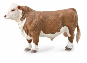 HEREFORD BULL