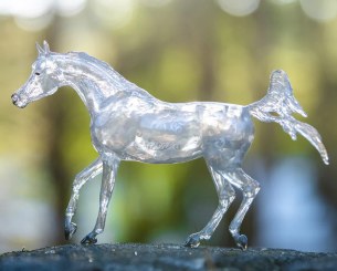 Radiance; 75th Anniversary