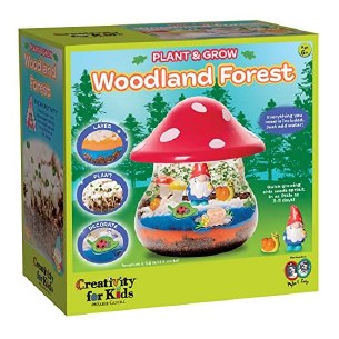 PAINT & GROW WOODLAND FOREST