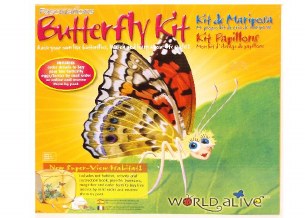 BUTTERFLY KIT