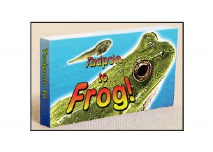 TADPOLE TO FROG FLIP BOOK