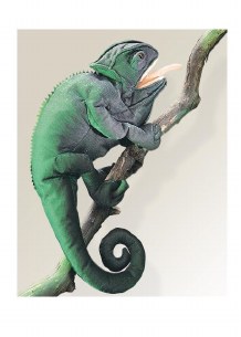 CHAMELEON PUPPET
