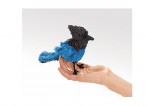 MINI STELLAR'S JAY FINGER