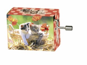MUSIC BOX - 