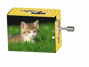 MUSIC BOX - 