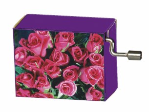 MUSIC BOX For Elise