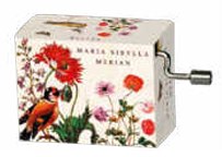 MUSIC BOX - SPRING