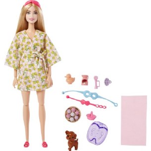 BARBIE WELLNESS ASSORT DOLLS