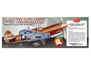 P-40  WARHAWK