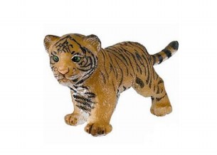 TIGER CUB