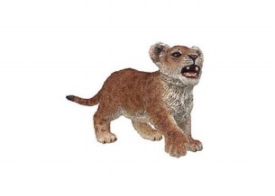 LION CUB