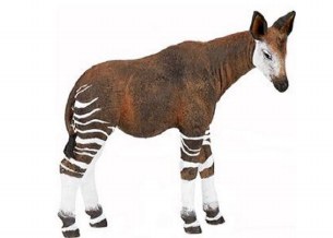 OKAPI
