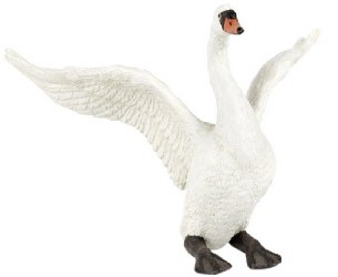 WHITE SWAN