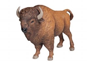 AMERICAN BUFFALO