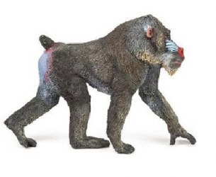MANDRILL