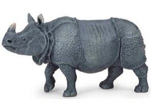 INDIAN RHINOCEROS
