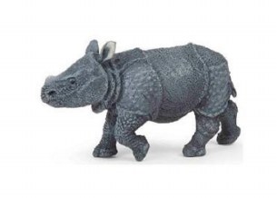 INDIAN RHINOCEROS CALF