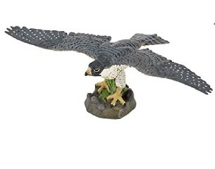 HAWK