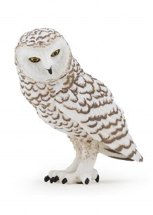 SNOWY OWL
