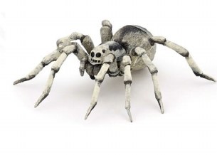 TARANTULA