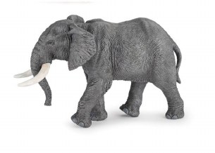 AFRICAN ELEPHANT