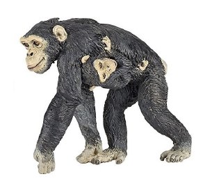 CHIMPANZEE AND BABY