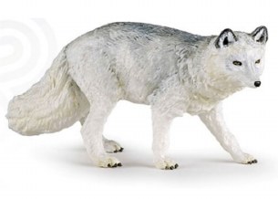 POLAR FOX