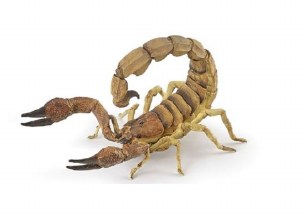 SCORPION