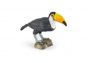TOUCAN