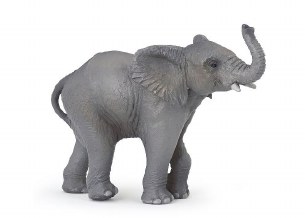 YOUNG ELEPHANT