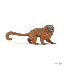 GOLDEN LION TAMARIN