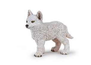 YOUNG POLAR WOLF