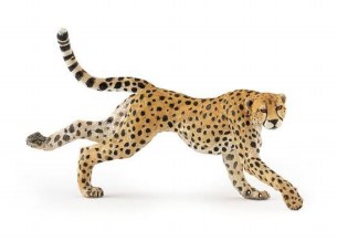 RUNNING CHEETAH