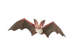 BAT