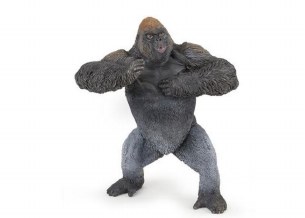 MOUNTAIN GORILLA